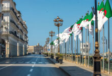 Diplomatic Strength: Algeria Ranked Among Africa's Leaders by EUISS
