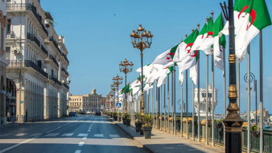 Diplomatic Strength: Algeria Ranked Among Africa's Leaders by EUISS
