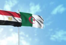 Egypt, Algeria Enhance Coordination on Key Regional Issues