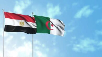 Egypt, Algeria Enhance Coordination on Key Regional Issues
