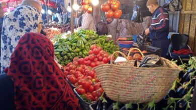 National Statistics Office Reports 3.1% Annual Inflation Rate