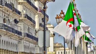High Council Formed to Harness Expatriate Algerian Expertise