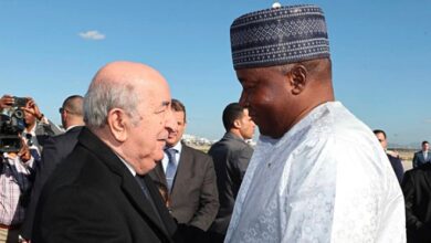 UN Platform Hears Niger Prime Minister Laud Algeria's Role