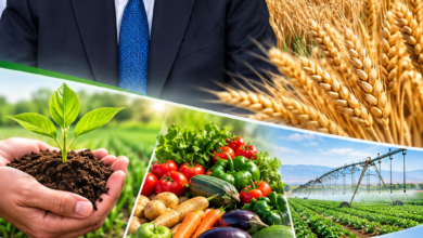 Experts Laud Plan for Digitalized, Climate-Adaptive Farm Law