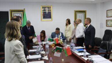 Giplait, Bellakt Protocol for Algerian Infant Milk Venture