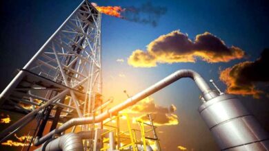 Algiers Prepares Decisive Year-End Energy Strategy