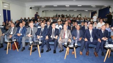 CNESE Forum Targets 20% Digital GDP by 2030