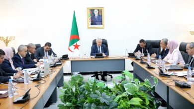 Council of Nation President Meets Indonesian Envoy