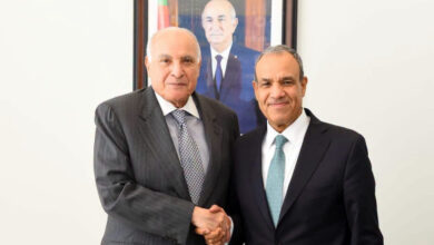 Attaf, Egyptian Minister Coordinate Regional Stability, Economic Growth