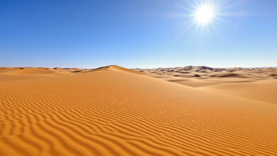 High Security Council Approves Anti-Drug Body, Tanezrouft Desert Prison