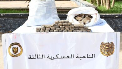 National Popular Army Foils Extensive Crime, Terror Operations