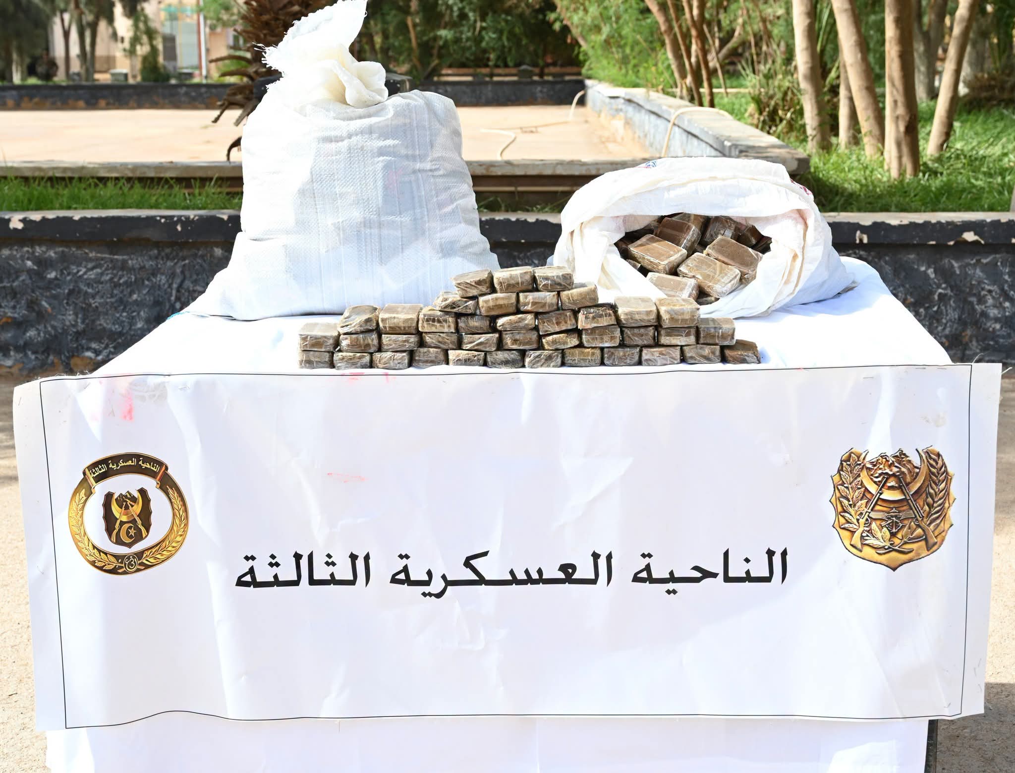 National Popular Army Foils Extensive Crime, Terror Operations