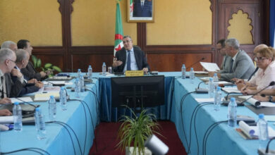 Clermont-Ferrand Airport Promotes Algiers as Tourist Destination