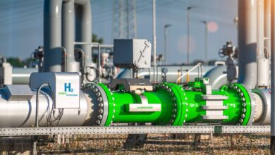 Bilateral Talks Bolster Algeria-Italy Green Hydrogen Ties