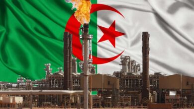 Natural Gas Output Rises 4% for Algeria
