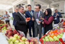 EU, Italy, France Partner with Algeria on Organic Farming