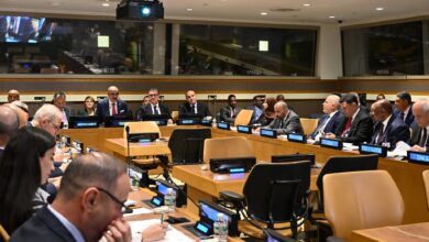 UN General Assembly Hears Call for Palestinian State Protection