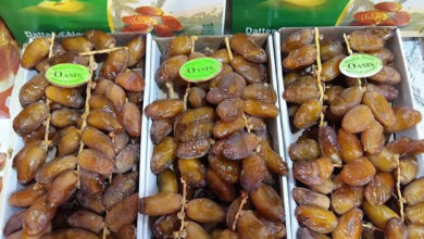 African Date Market: Algeria Set for Top Export Spot
