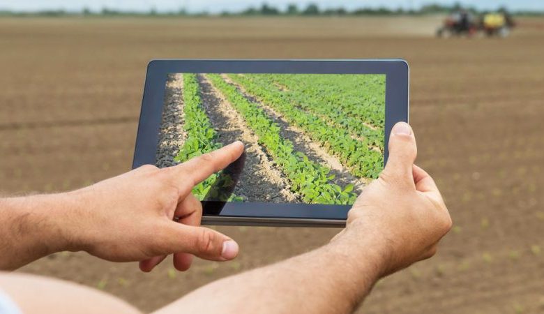 Italian Companies Set to Visit Algiers for Agricultural Innovation