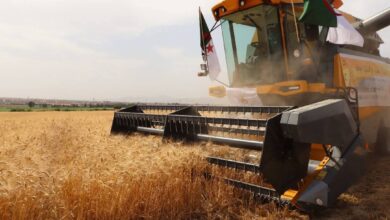 National Food Security Secured by Five Million Ton Wheat Stock