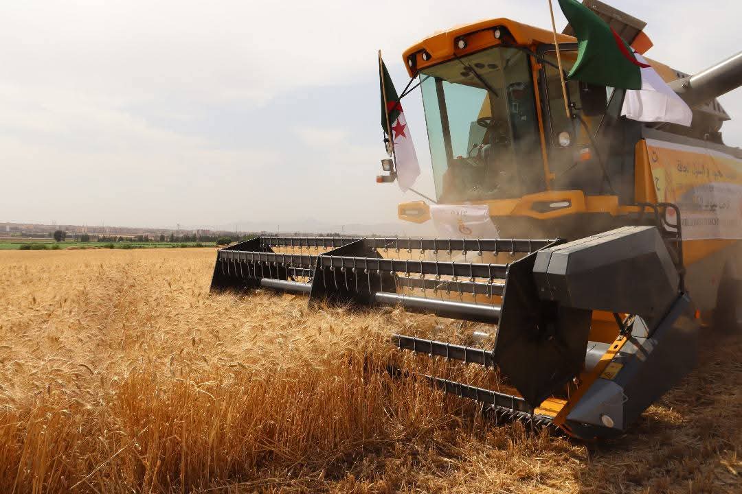 National Food Security Secured by Five Million Ton Wheat Stock