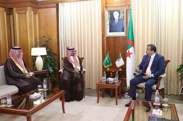 Algiers Forges Stronger Energy Links with Saudi Arabia, South Africa