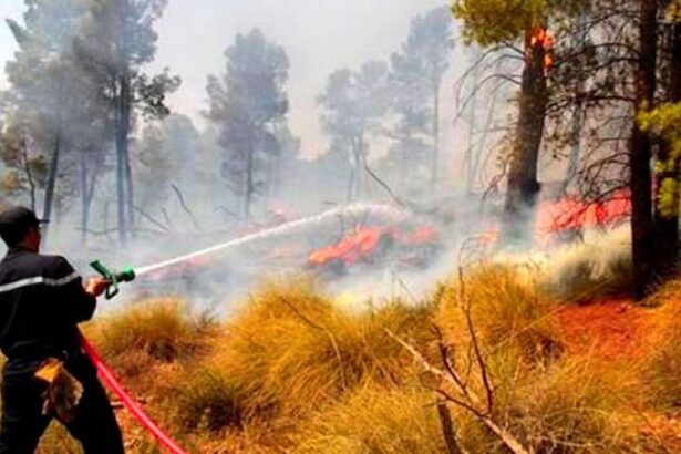Civil Protection Sector Benefits from Comprehensive Wage Increases