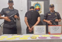 Souk Ahras Customs Seize 1,642 Ecstasy Pills, Powder