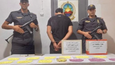 Souk Ahras Customs Seize 1,642 Ecstasy Pills, Powder