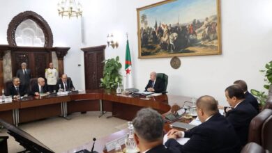Food Security: Tebboune Orders Enhanced Cereal Oversight