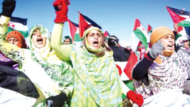 Sahrawi Prisoners Reaffirm Hunger Strike for Freedom
