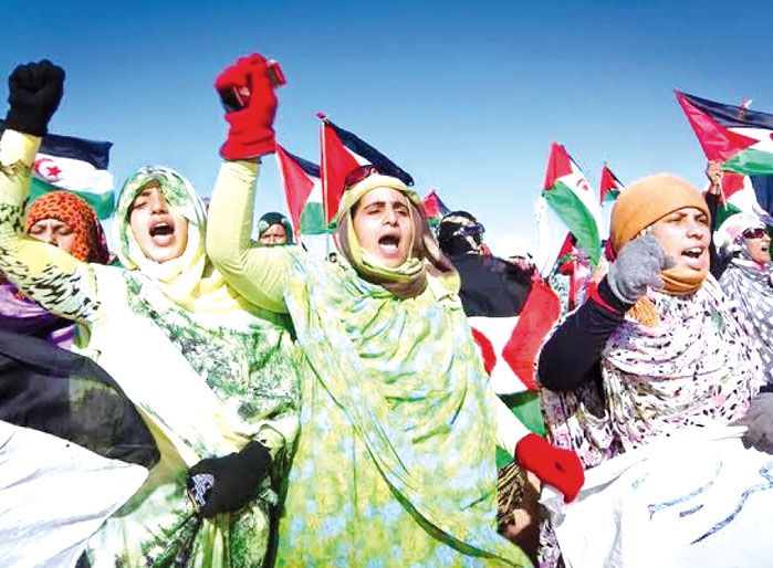 Sahrawi Prisoners Reaffirm Hunger Strike for Freedom