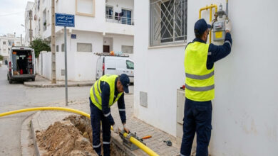 State Program Connects 135 Homes to Bouira Gas Network