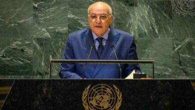 Western Sahara Solution Must Involve Sahrawi People, Algeria Says