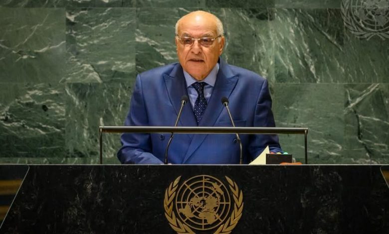Western Sahara Solution Must Involve Sahrawi People, Algeria Says