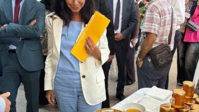 Italy Eyes Algerian Agriculture as Key Cooperation Axis