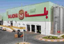 Baladna El Djazair Project Welcomes First Cattle Herd to Adrar