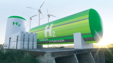 German-Algerian Talks Target Green Hydrogen, Energy Storage Partnerships