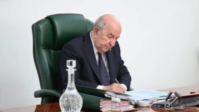 New Guiding Law Targets Algerian Agriculture Modernization