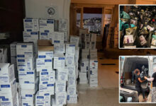 Women's Solidarity Provides Hygiene Kits to Wildfire-Affected Females