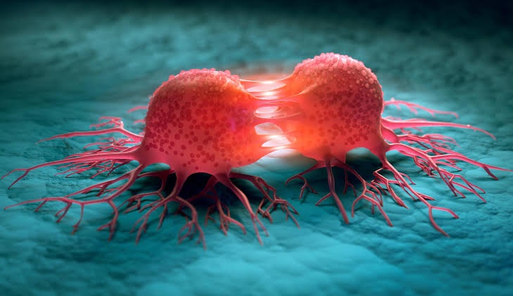 International Cancer Patient Congress Set for Algiers in 2026