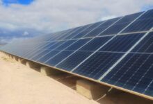 African Green Energy Market Sees Algerian Growth