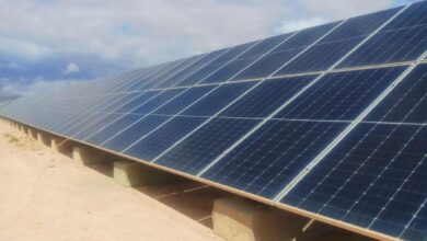 African Green Energy Market Sees Algerian Growth