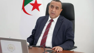 Adjal Directs Strategy for Rational Gas Resource Use