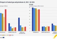 EU Imports: Algeria Second-Largest Gaseous Gas Supplier