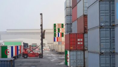 Moscow to Host Algeria's Investment Offensive by 2026