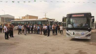 Thirty-Five New Buses Delivered to M'sila Public Transport