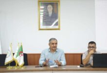 Dakar Youth Olympics Participation Monitored in Algiers Meeting