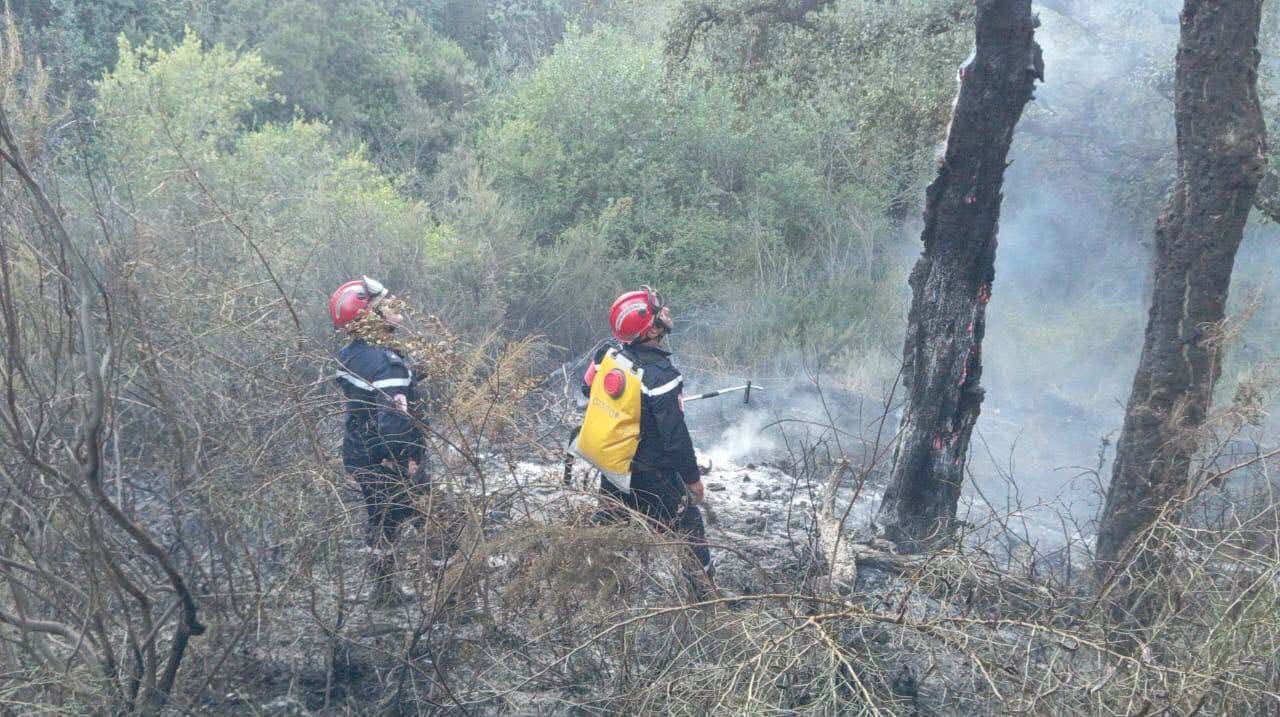 Twenty-five fires brought under control across Algeria