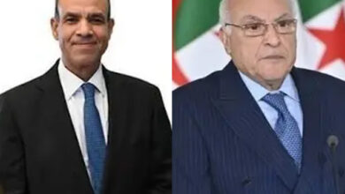 Algiers, Cairo Affirm Tripartite Coordination for Libya